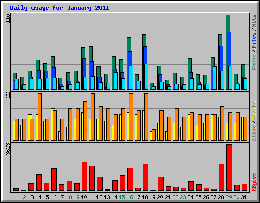 Daily usage for January 2011