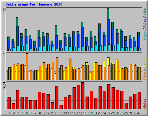 Daily usage for January 2013