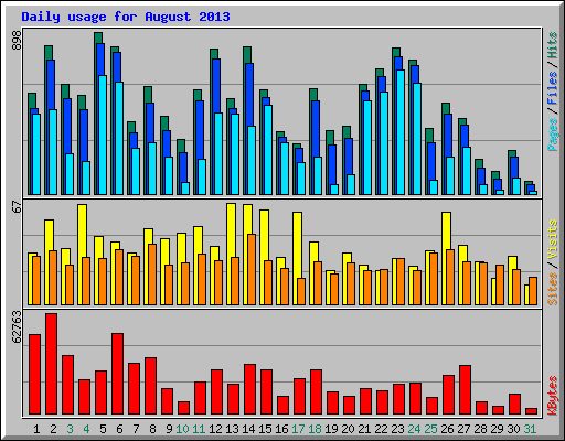 Daily usage for August 2013