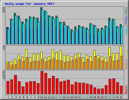 Daily usage for January 2017