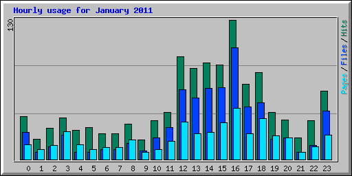 Hourly usage for January 2011