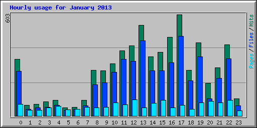 Hourly usage for January 2013