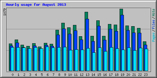Hourly usage for August 2013