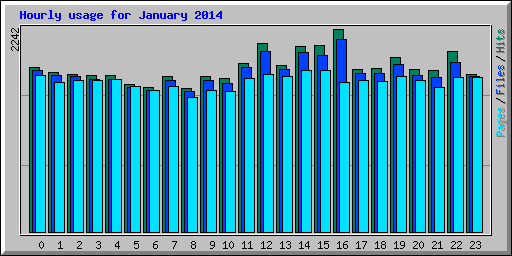 Hourly usage for January 2014