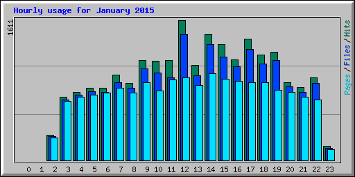 Hourly usage for January 2015