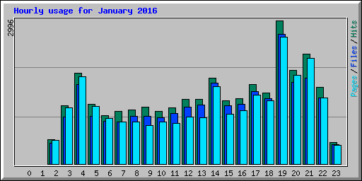Hourly usage for January 2016