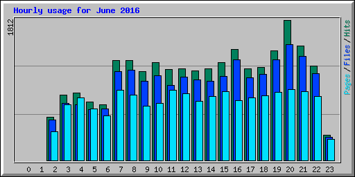 Hourly usage for June 2016