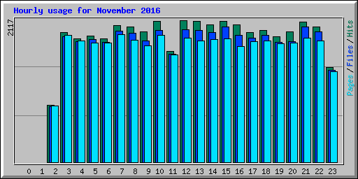 Hourly usage for November 2016