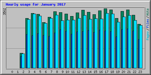 Hourly usage for January 2017