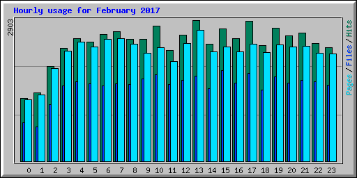Hourly usage for February 2017